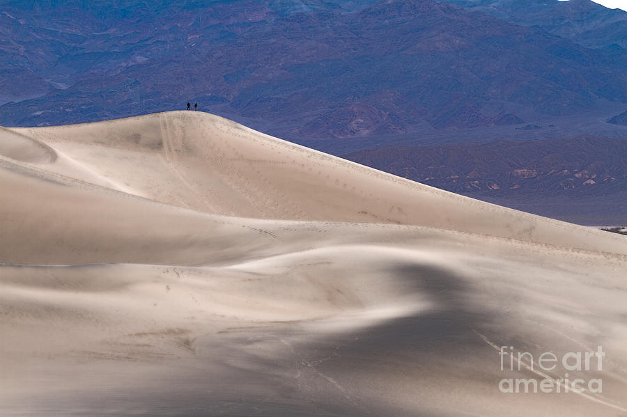 Sand Dunes Morning #1 Photograph by Dan Hartford