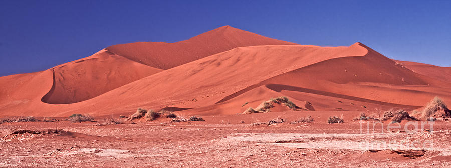 Nature Photograph - Sand dunes  Namib Desert by Liz Leyden