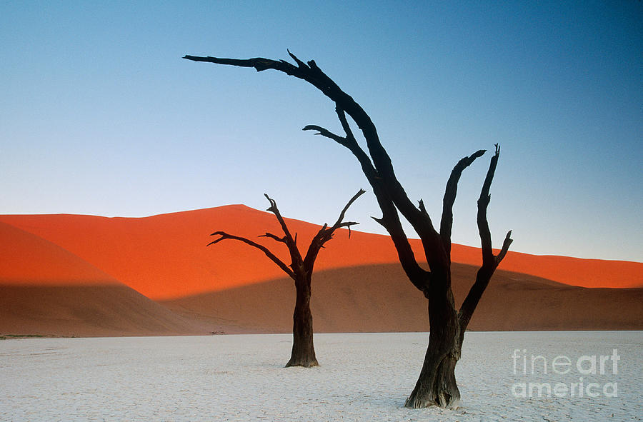 Landscape Photograph - Sand Dunes, Namibia by Art Wolfe