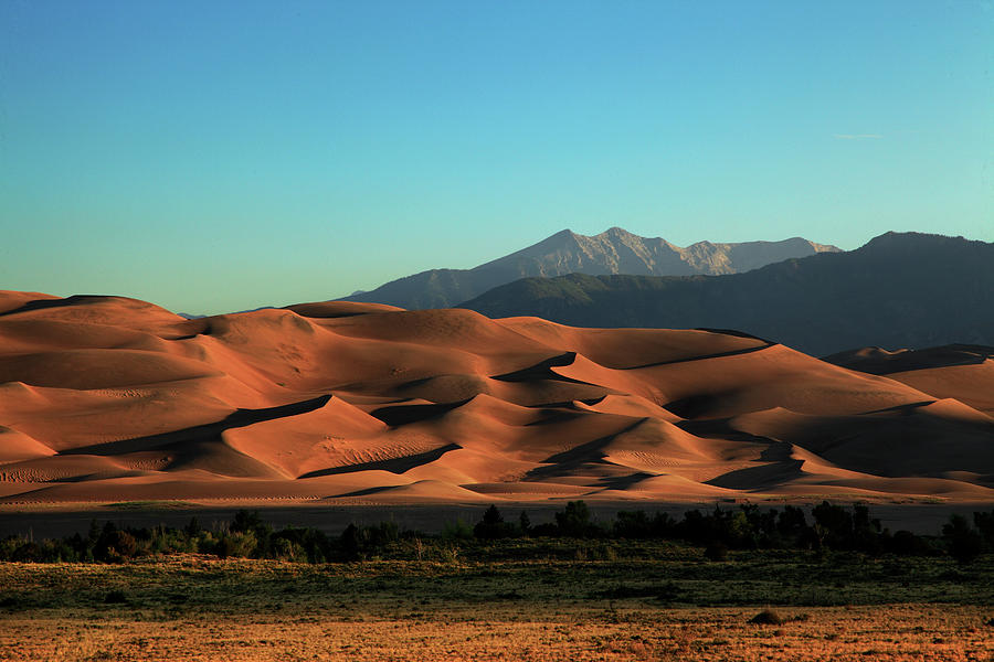 Sand Dunes National Park Photograph by A. V. Ley