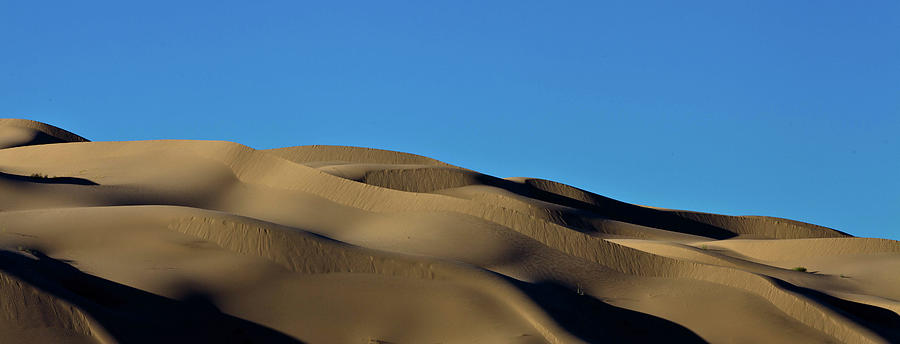 Sand Dunes Near Yuma, Az Photograph by Lightstage Photography