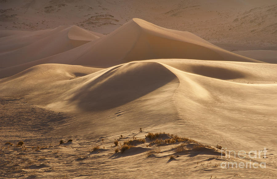 Sand Dunes Of Hartmann Berge, Namib Photograph by Bill Bachmann