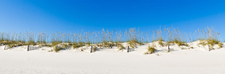 Nature Photograph - Sand Dunes On Gulf Of Mexico, Orange by Panoramic Images