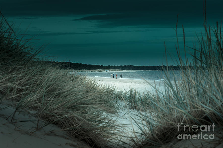 Sand dunes on the Baltic coast of Oland at Boda sand Sweden Photograph by Peter Noyce