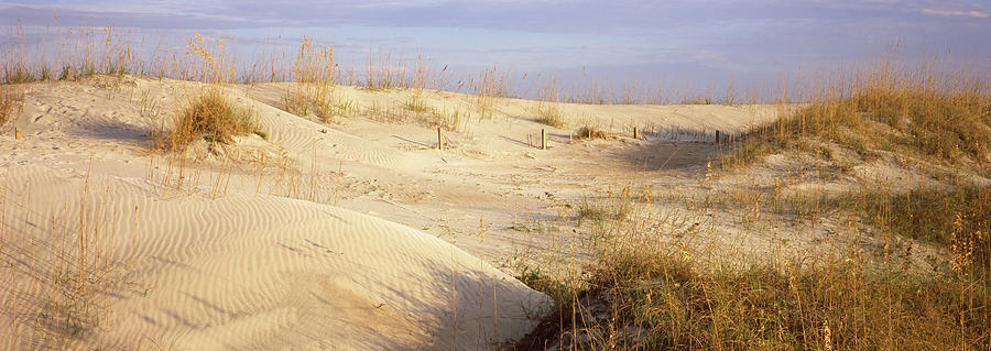 Nature Photograph - Sand Dunes On The Beach, Anastasia by Panoramic Images