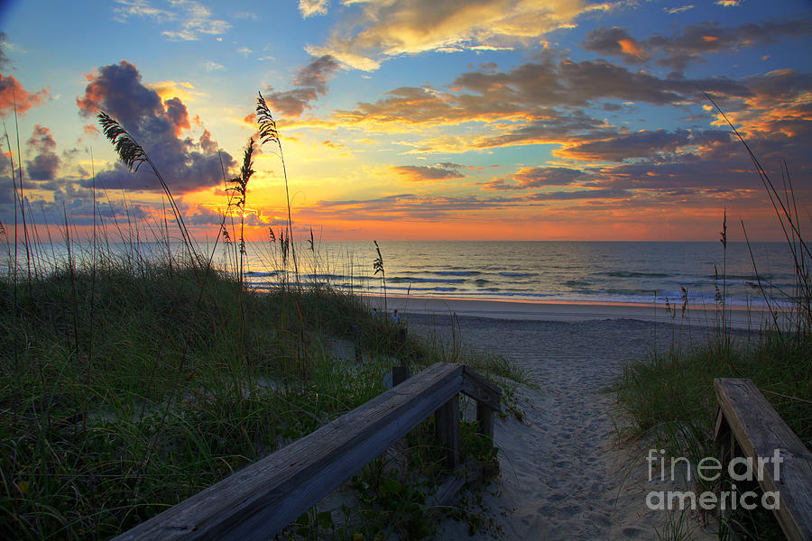 Sand dunes on the Seashore at Sunrise - Carolina Beach NC Photograph by Wayne Moran