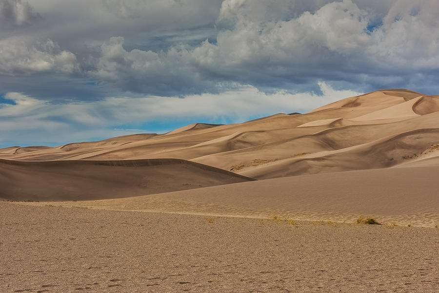 Sand Dunes Photograph by Paul Freidlund