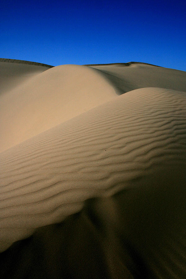 Sand Dunes Photograph by Scott Cunningham
