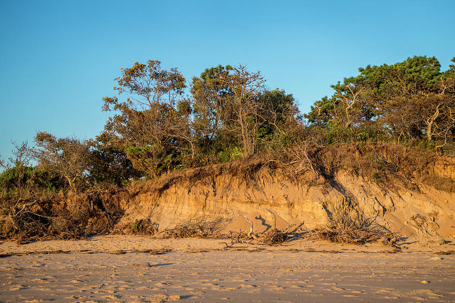 Sand Dunes With Erosion, Wellfleet Cape Photograph by Dakin Roy