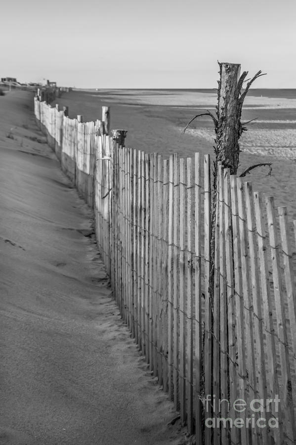 Sand Fence Photograph by Arlene Carmel