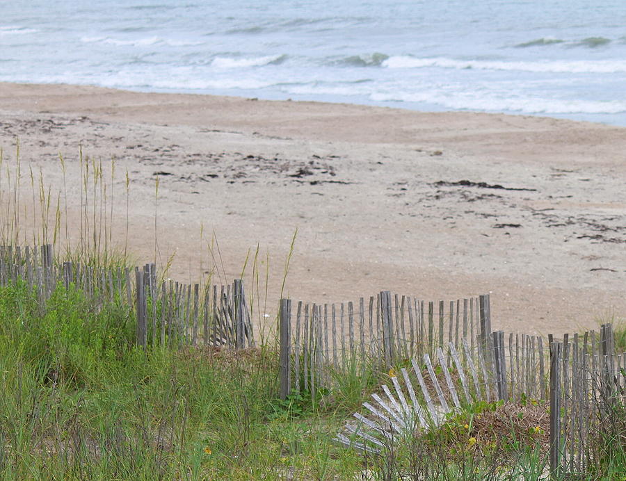 Nature Photograph - Sand Fence at Atlantic Beach by Cathy Lindsey