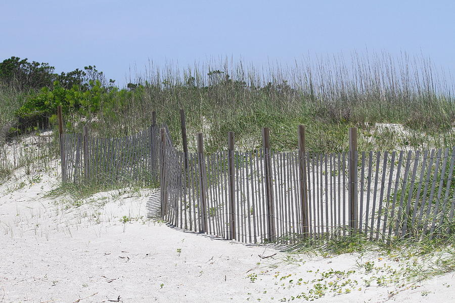 Sand Fence at Cape Lookout Photograph by Cathy Lindsey | Fine Art America