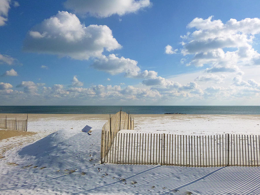 Sand Fence Photograph by Ellen Paull