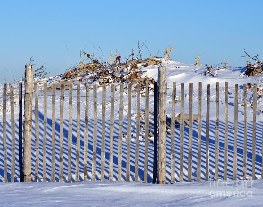 Sand fence Photograph by Sami Martin