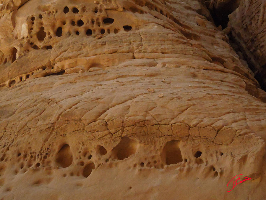 Sand Formation Sinai Desert Egypt Photograph by Colette V Hera Guggenheim