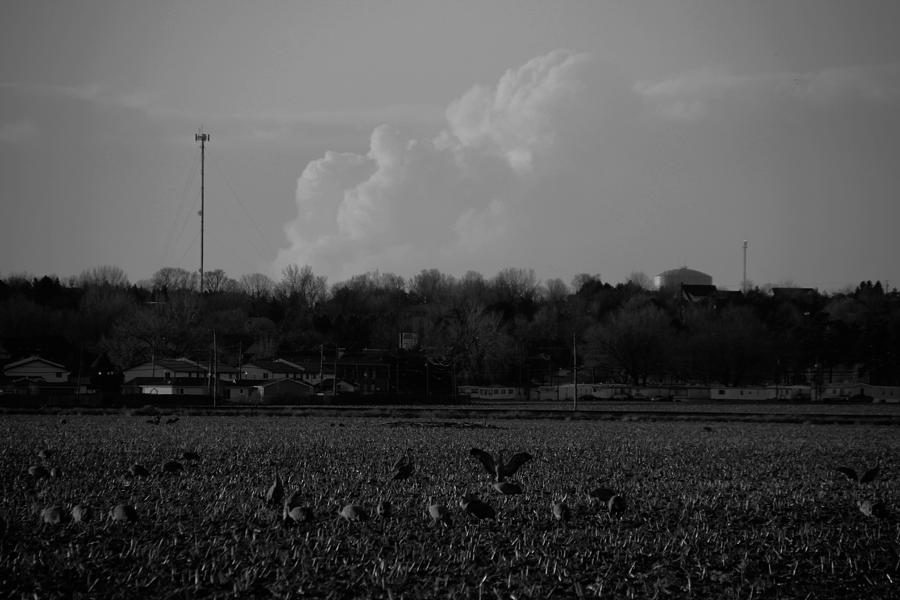 Sand Hill Cranes with Nebraska Thunderstorm Photograph by NebraskaSC