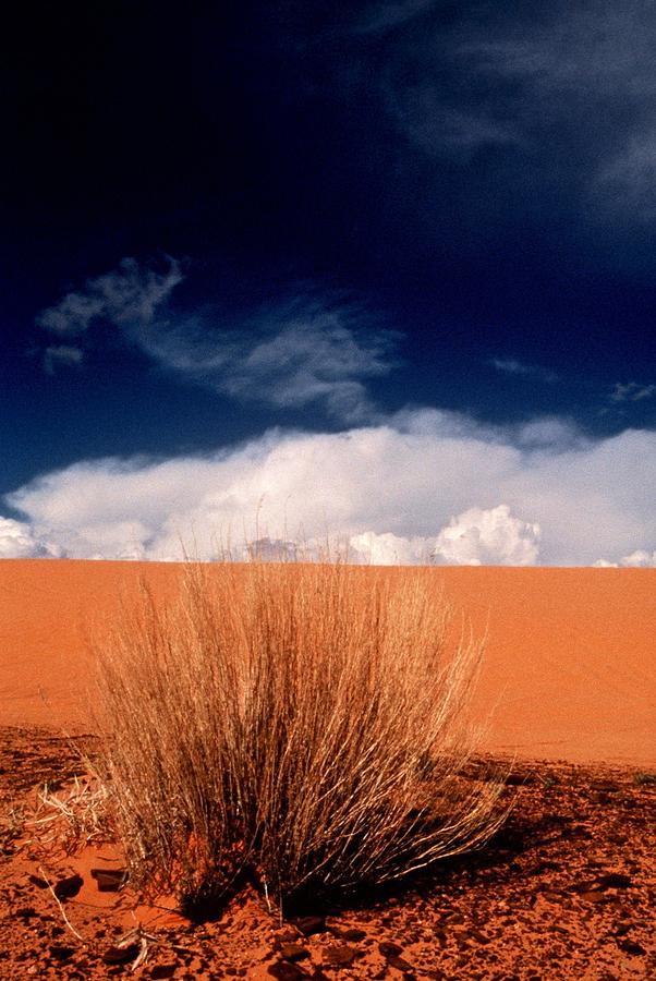 Desert Photograph - Sand Island by T C Brown