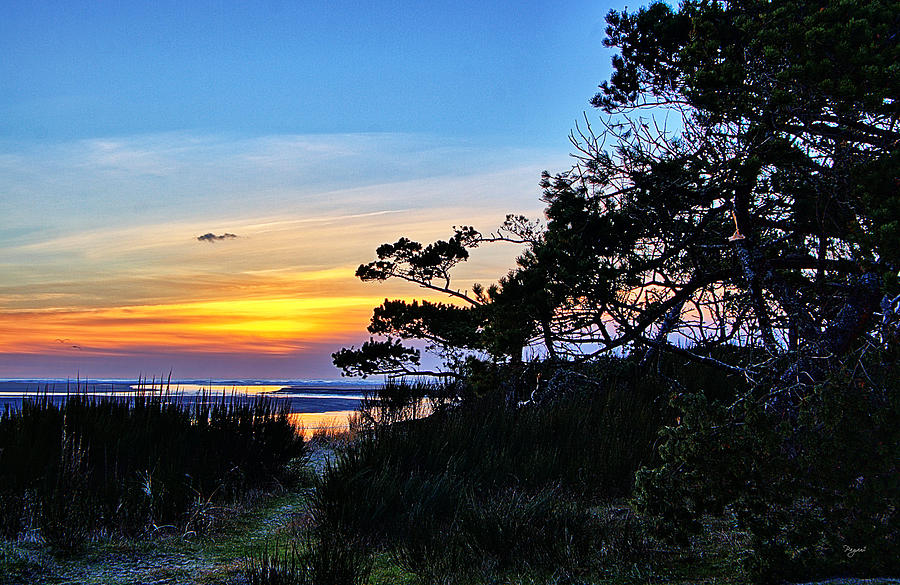 Sand Lake Sunset Photograph by Chriss Pagani