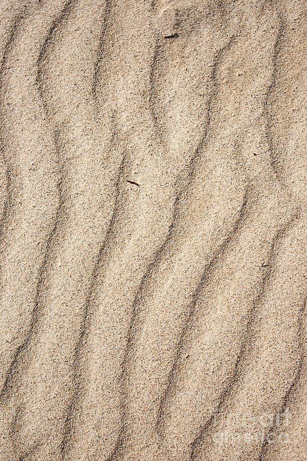 Sand Photograph by Luciano Mortula