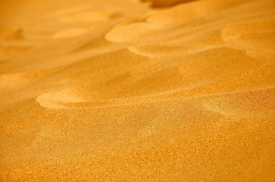 Desert Photograph - Sand by Manu G
