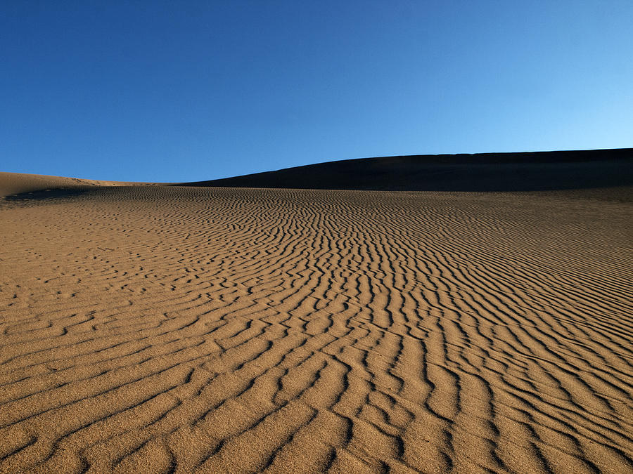 Sand Maps Photograph by Joe Schofield
