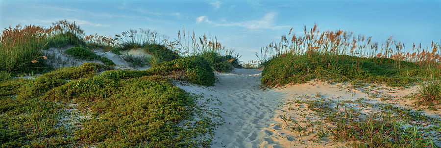 Nature Photograph - Sand On Beach, Barrier Island, Outer by Panoramic Images