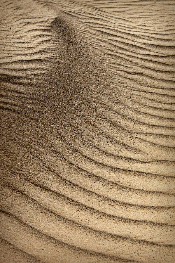 Sand Pattern Abstract - 3 Photograph by Nikolyn McDonald