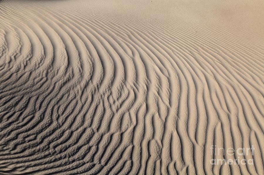 Sand Patterns Photograph by Adam Jewell