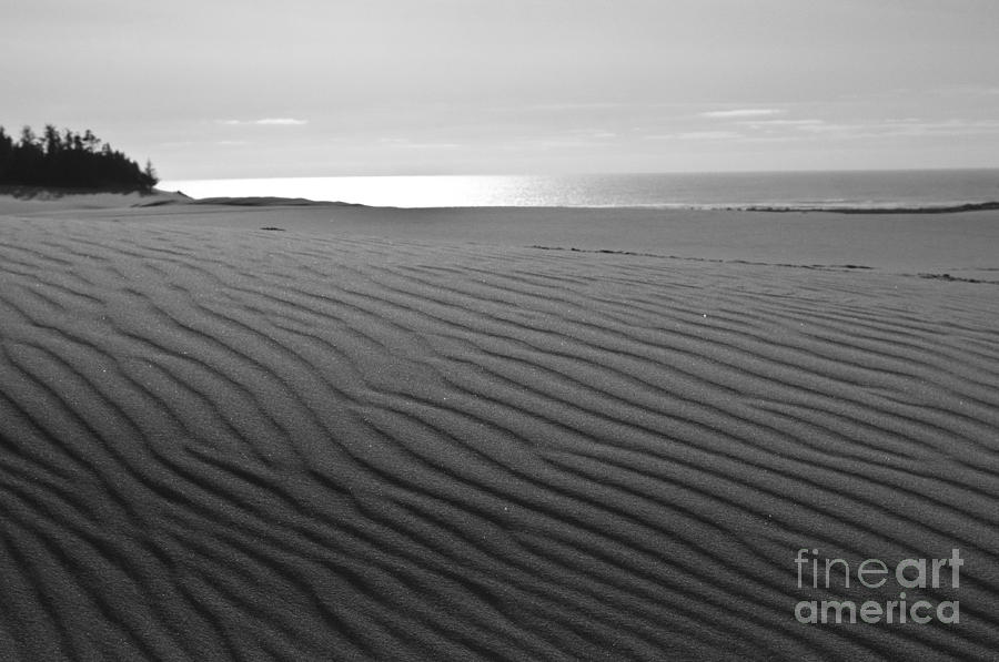 Sand Patterns Photograph by Adria Trail