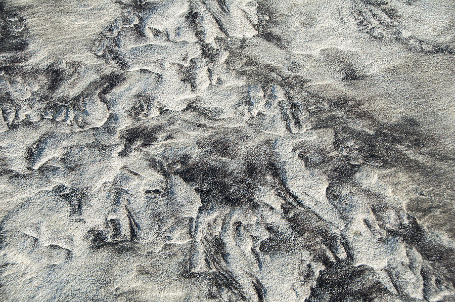 Sand Patterns Photograph by Cathy Kovarik