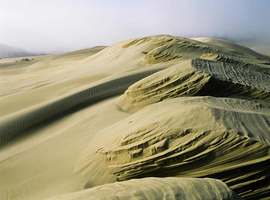 Sand Patterns Created By The Wind Photograph by Robert L. Potts
