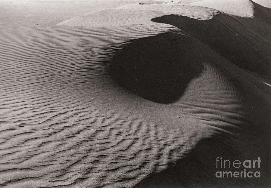 Sand Patterns Photograph by Sherry Davis
