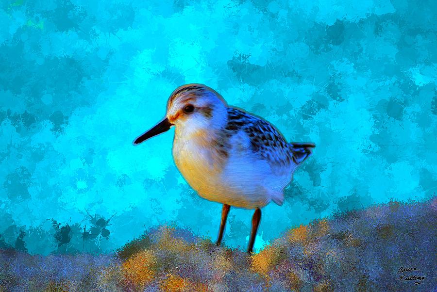 Sand Piper Painting by Bruce Nutting