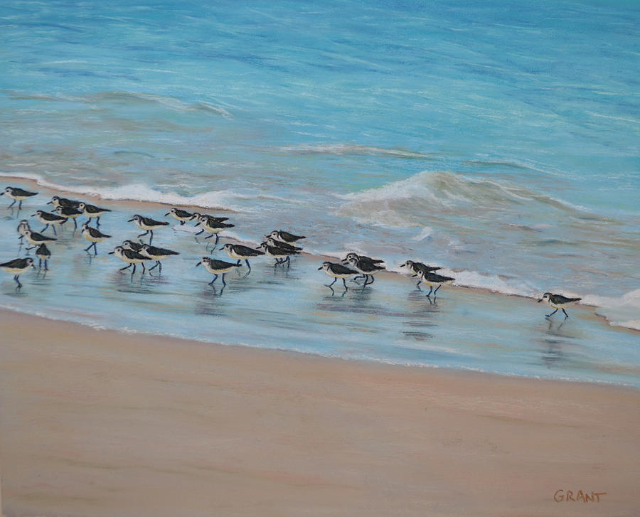 Sand Piper on Parade Painting by Joanne Grant