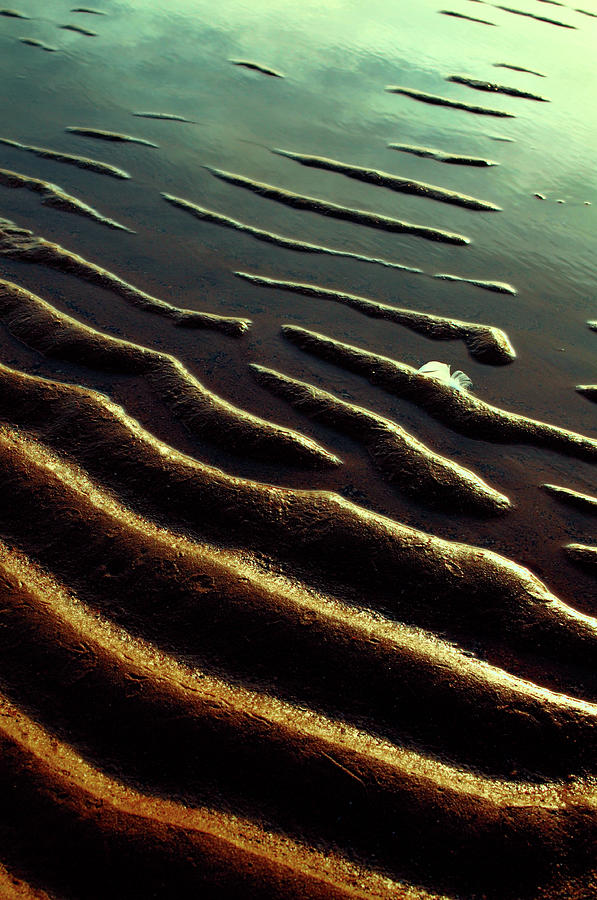 Sand Ridges On The Beach Photograph by Peter Mulligan