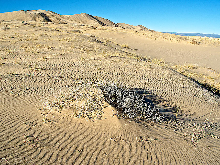 Sand Ripples In Kelso Dunes In Mojave Desert National Preserve ...