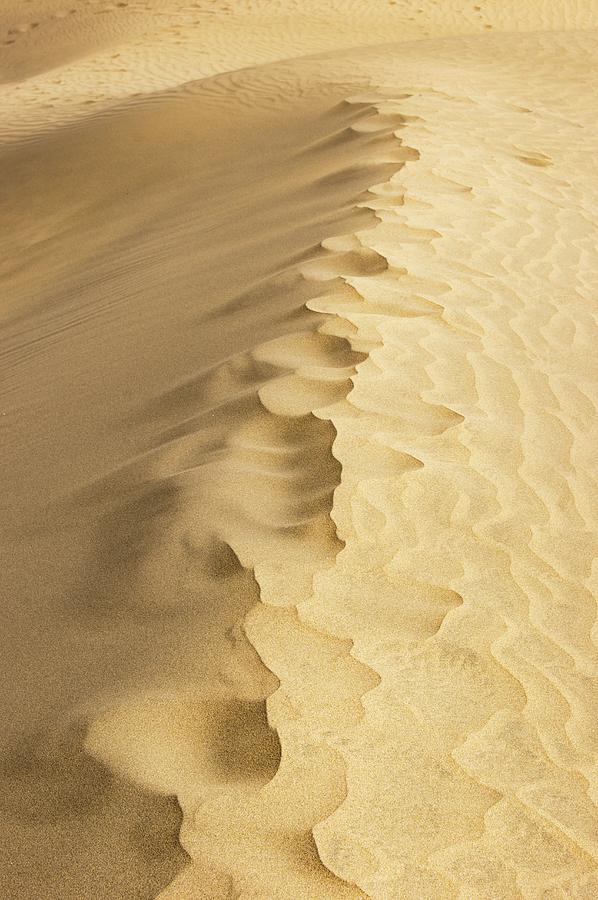 Sand Ripples. Photograph by Mark Williamson/science Photo Library