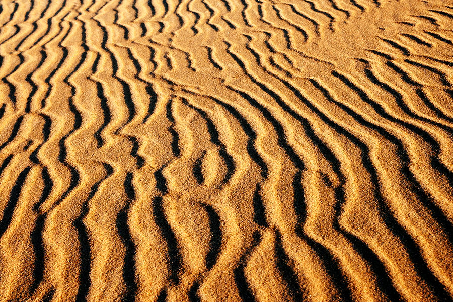 Sand ripples Photograph by Milosz Guzowski - Pixels