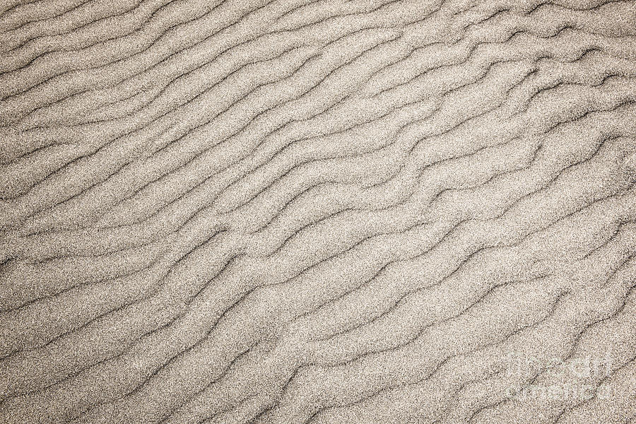 Sand ripples natural abstract Photograph by Elena Elisseeva