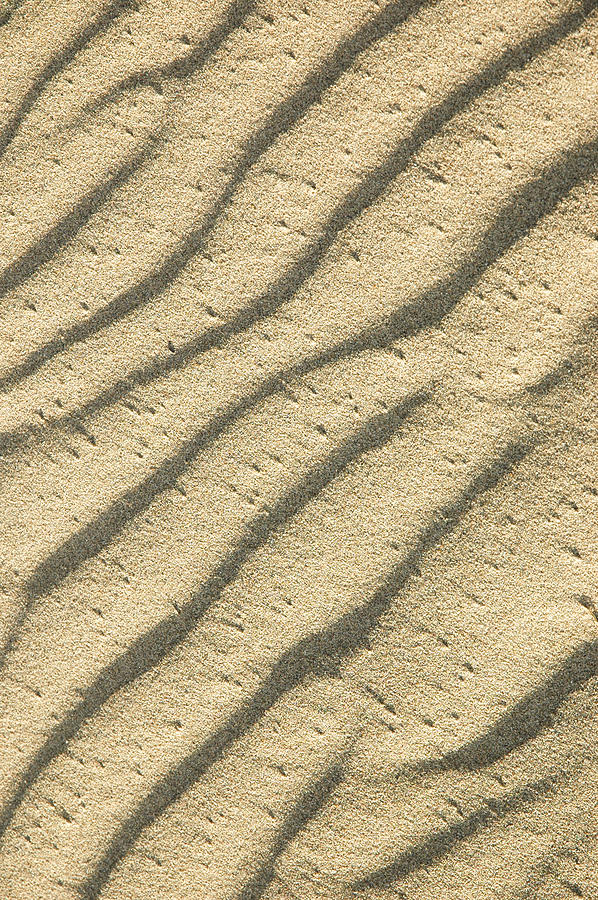 Sand Ripples Photograph by Rob Huntley