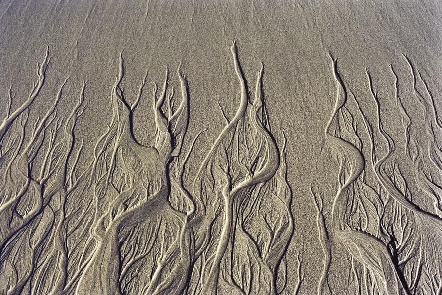 Beach Photograph - Sand Sculpture    by Joe  Palermo