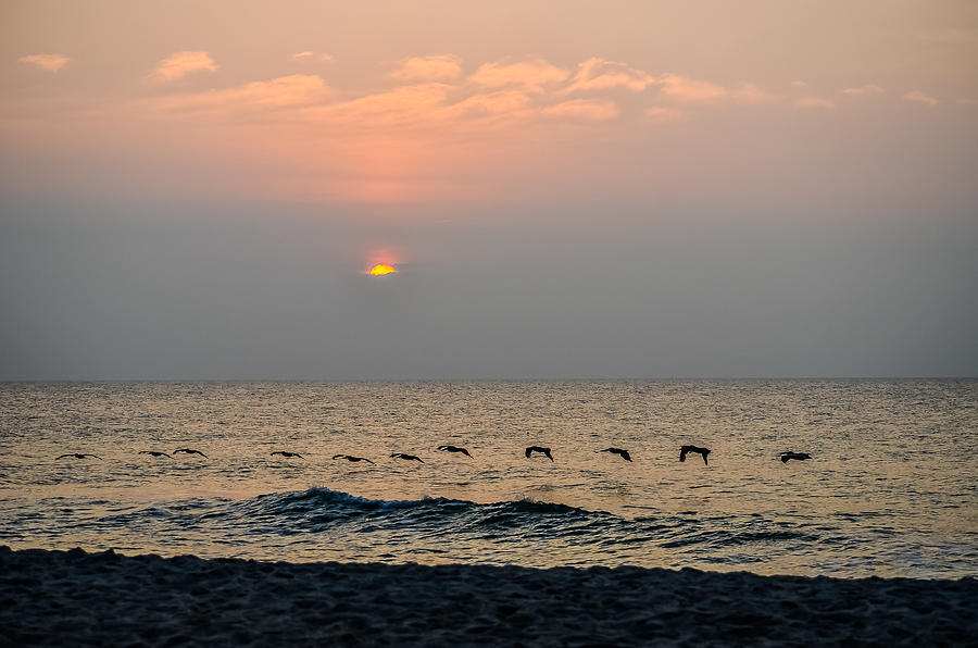 Sand Sea Sun Photograph by Mary Hahn Ward