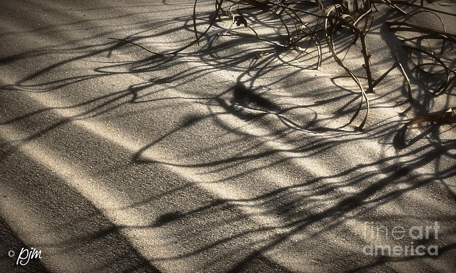 Sand Shadows Photograph by Phil Mancuso