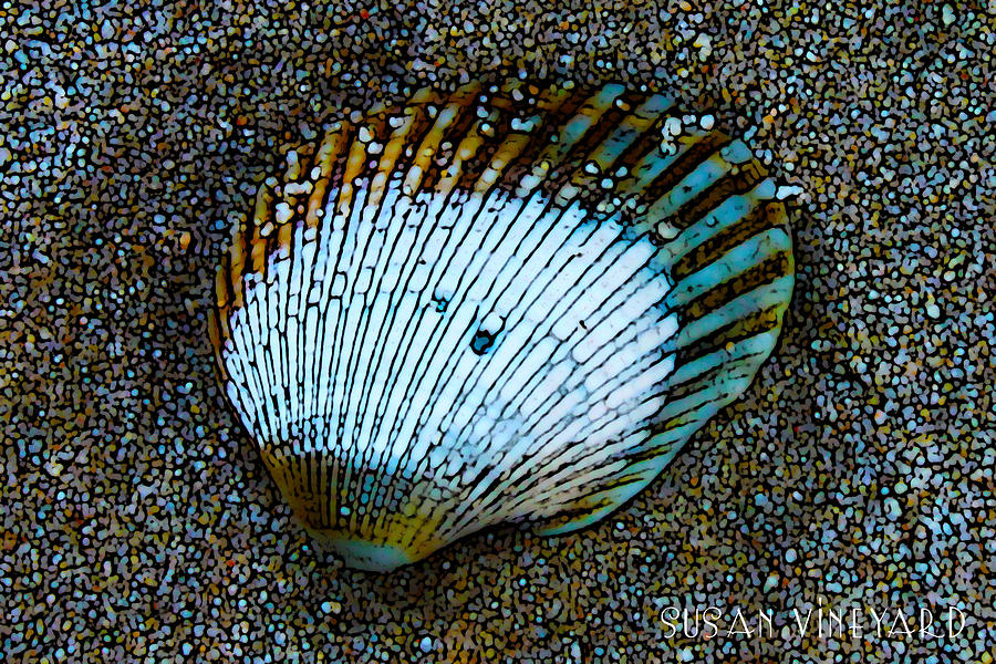 Sand Shell Digital Art by Susan Vineyard