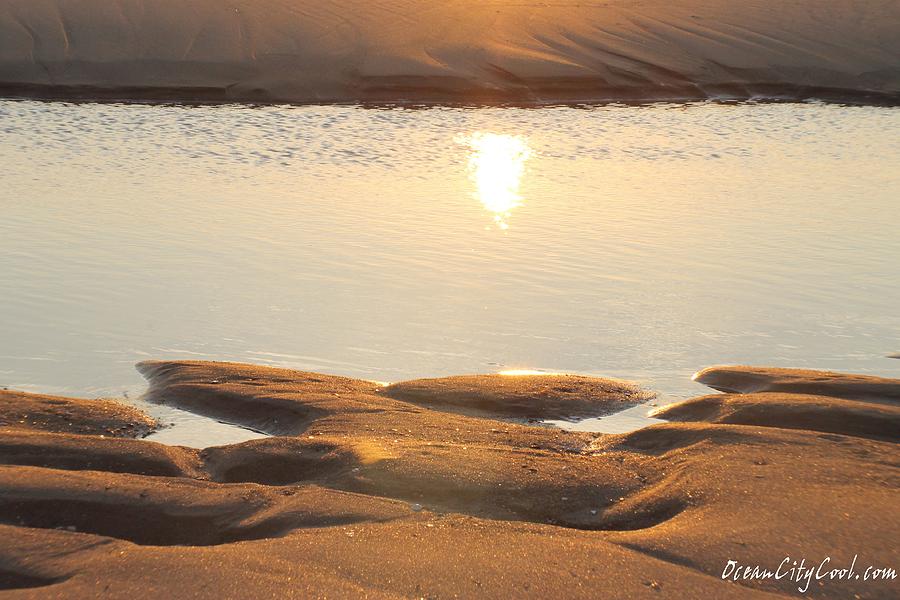 Sand Shine Photograph by Robert Banach