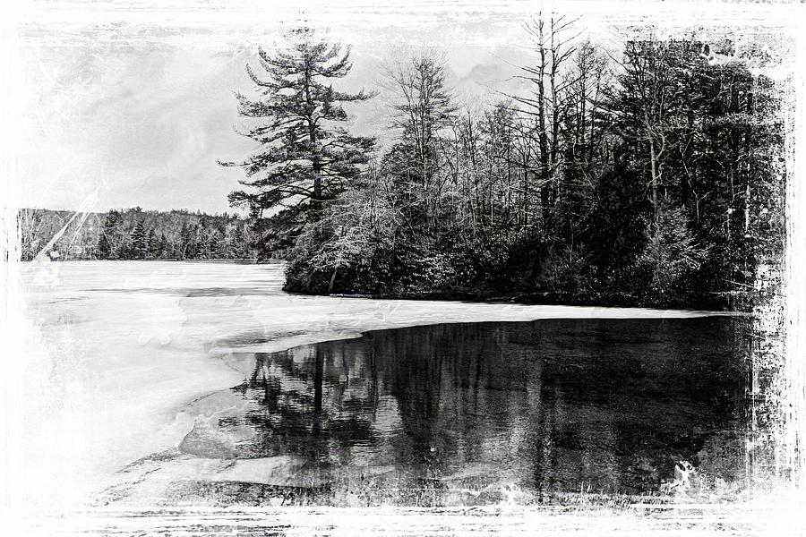 Sand Spring Lake Photograph by Lisa Hurylovich - Fine Art America