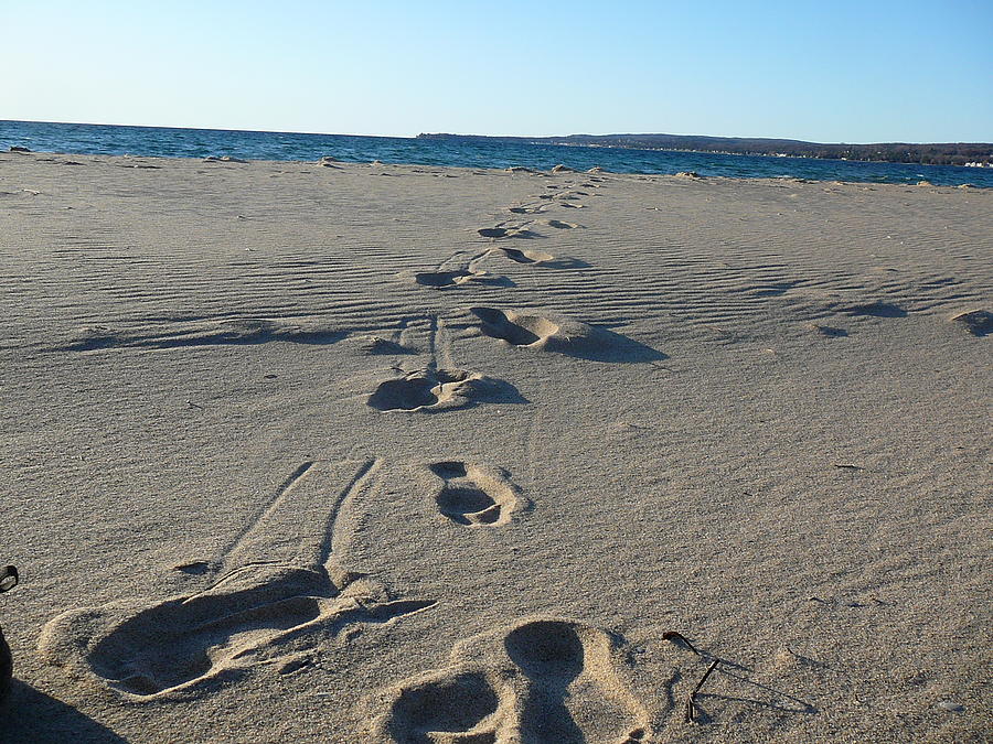 Sand steps Photograph by Two Bridges North - Fine Art America