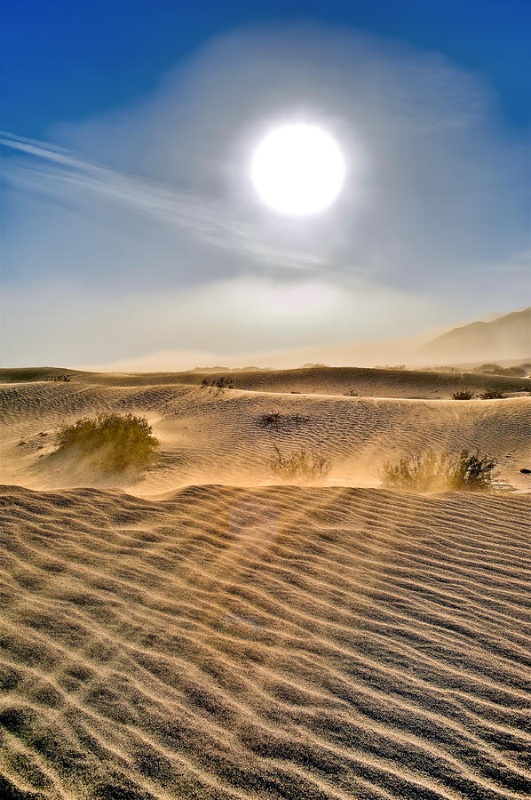 Sand Storm In The Mesquite Dunes 2 Photograph
