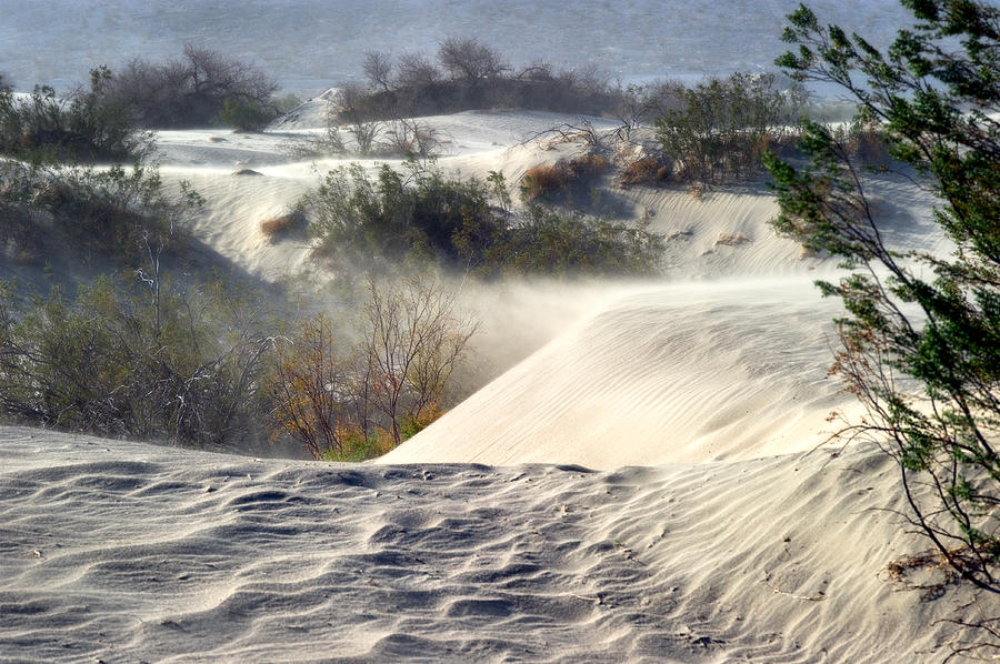 Landscape Photograph - Sand Storm in the Mesquite Dunes 3 by Tomasz Dziubinski