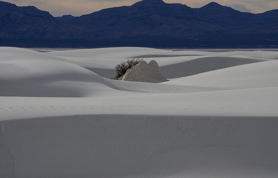 Sand Taco Photograph by Jerry Griffis - Fine Art America